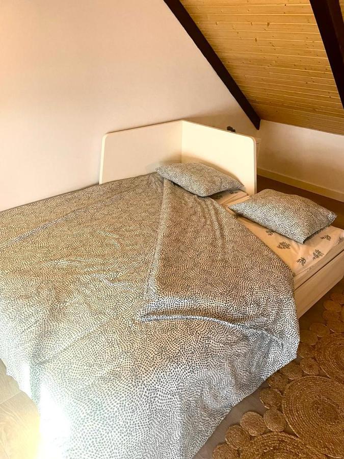 Precioso Apartamento Centrico Con Piscina Córdoba Eksteriør billede
