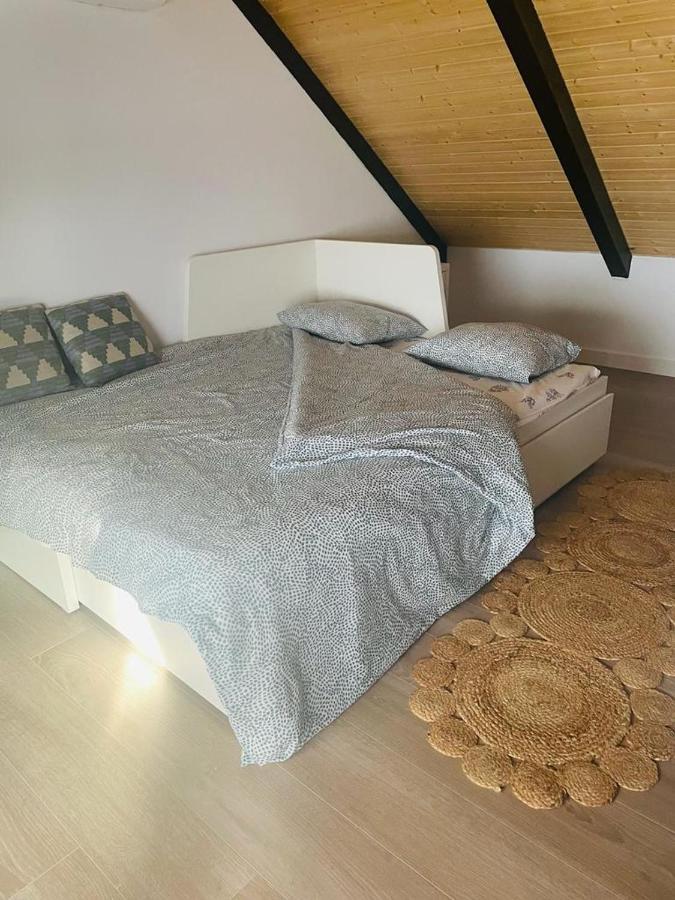 Precioso Apartamento Centrico Con Piscina Córdoba Eksteriør billede